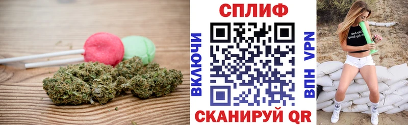 магазин продажи   Кулебаки  Canna-Cookies конопля 