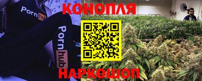 a pvp Краснознаменск