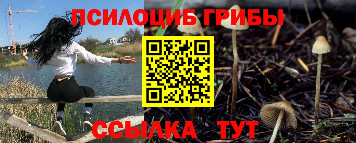 Псилоцибиновые грибы ЛСД  где купить наркоту  Кулебаки  Вход с VPN  Галлюциногенные грибы ЛСД 