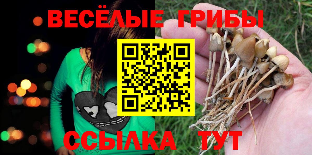 Галлюциногенные грибы GOLDEN TEACHER Кулебаки